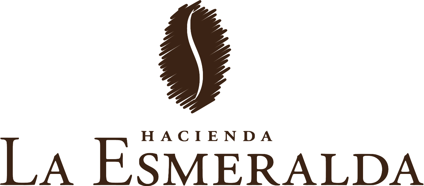 Panama Geisha - Esmeralda Cañas Verdes Geisha Natural - 21g WHOLE BEAN