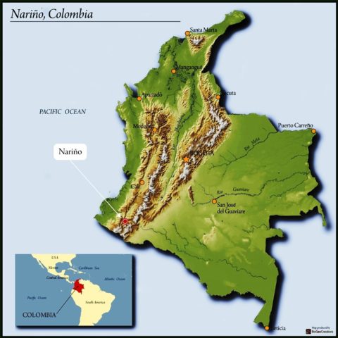 Colombia Narino Pink Bourbon - 12oz WHOLE BEAN